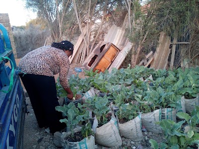 Photos of Safari Homestay