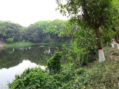 Photos of J.C. Boso Complex Pond