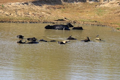 Photos of Yala Block I