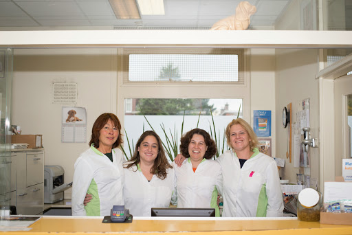 Breuk en Van Doorne veterinarians