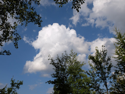 Parco e Anfiteatro Comunale - Thumbnail