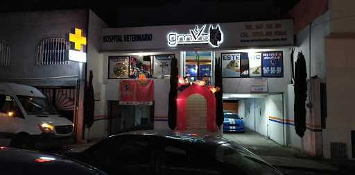 GMVT - Hospital Veterinario - Sucursal Corralitos