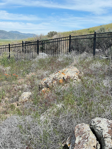 Three Petroglyphs Trail