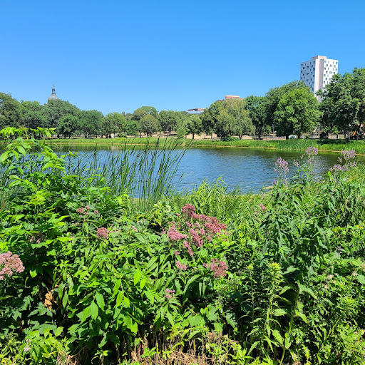 Loring Park - United States