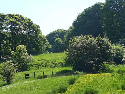 Glossop Tours - Thumbnail