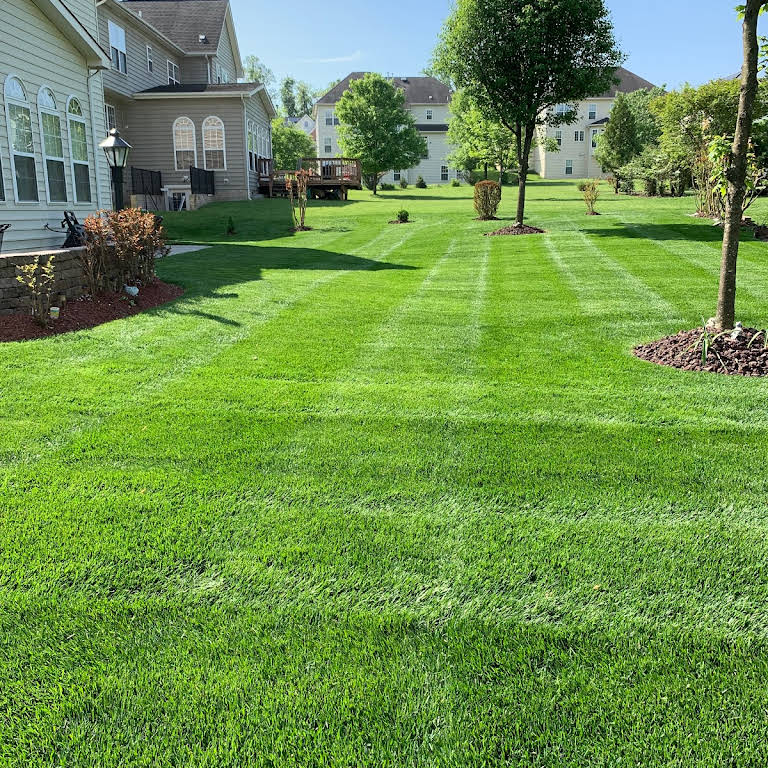 Superior Landscaping and Tree Services Landscaper in Lanham