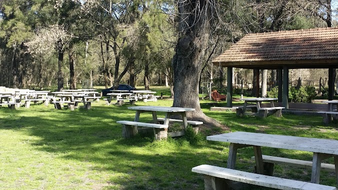 Camping Parque Municipal Los Robles, Author: Norma Maldonado