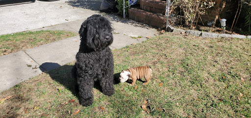 Best Friends Veterinary Clinic - Thumbnail