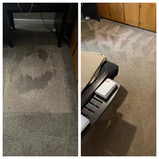 Dash In Carpet Cleaning