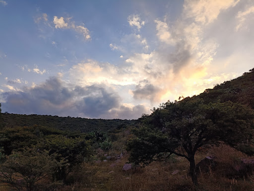 Cerro de la Ahumada / Área Protegida