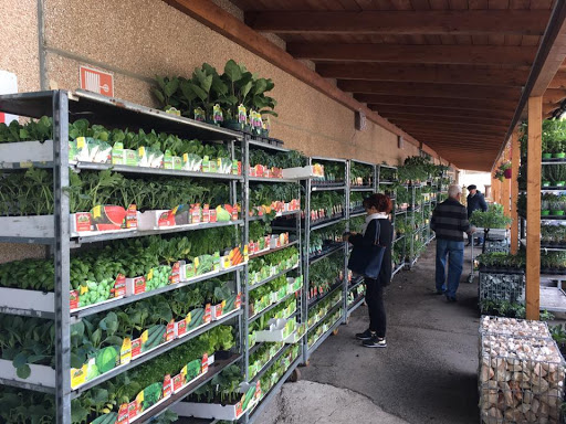Agrigarden S.r.l. - Visual