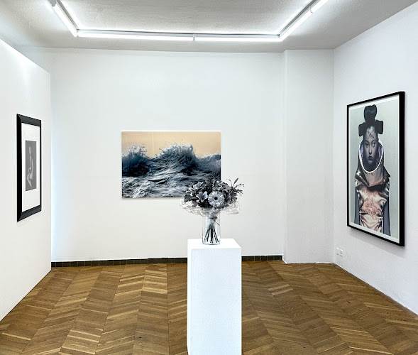 Christophe Guye Galerie