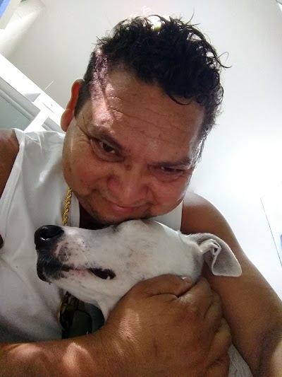 Photos of Vet Ypiranga