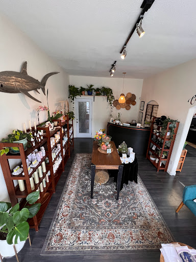 Copper and Jade Salon