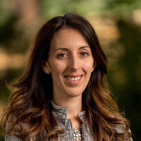 Maly N Oron Benhamou M D