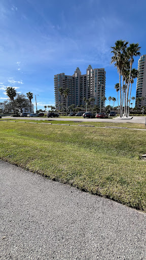 Bay Park on Sand Key - Thumbnail