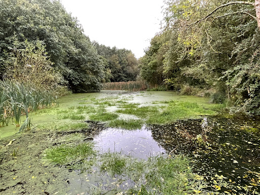 Red River Nature Walk - Thumbnail