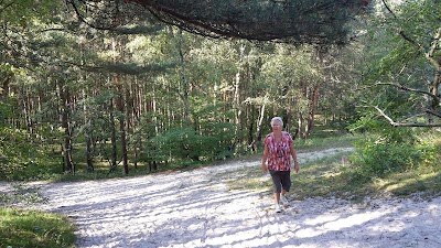 Photos of Ferienwohnungen direkt am Strand