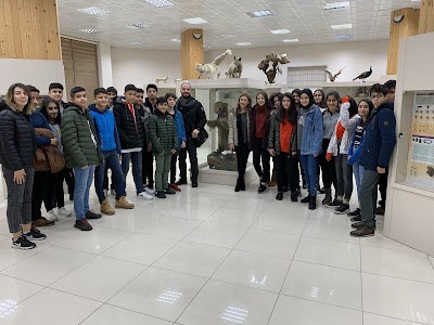 Dicle Üniversitesi Fen Fakültesi zooloji müzesi