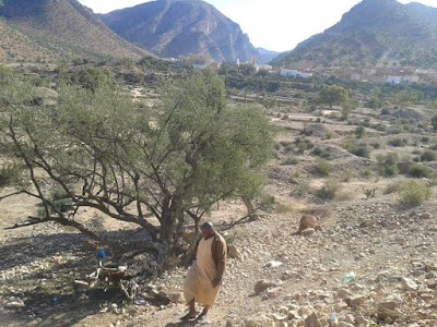Photos of Taroudant Voyages