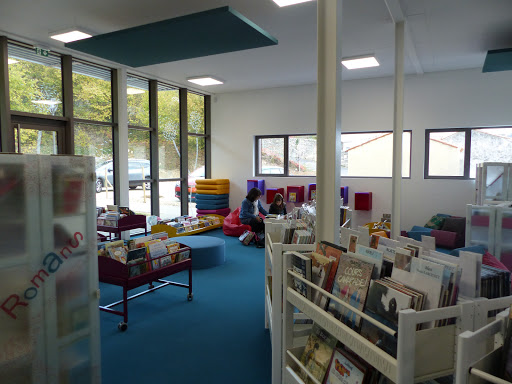 Library Gabriel-Delaunay - Thumbnail