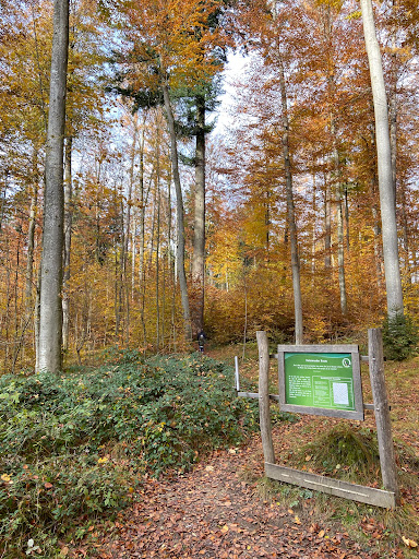 Walderlebnispfad Krumbad