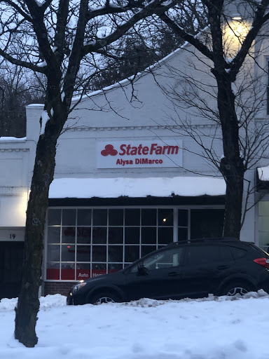 Alysa DiMarco - State Farm Insurance Agent - Thumbnail