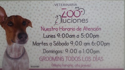 Photos of Veterinaria Zooluciones