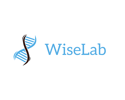 WiseLab - Visual