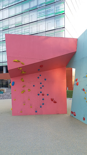 Rock Climbing GYM - Thumbnail