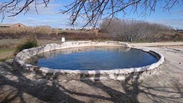 Thermal spring of Bulicame