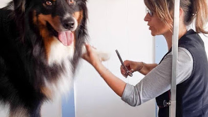 Au petit salon canin