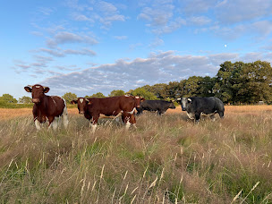 Photo n°5 de Boucherie Denieul Didier à Iffendic (Charcuterie)