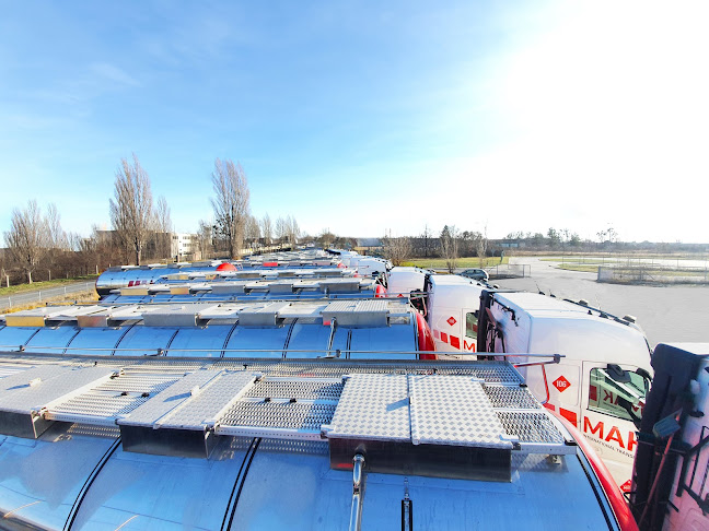 Comentarii opinii despre MAK - International Transport