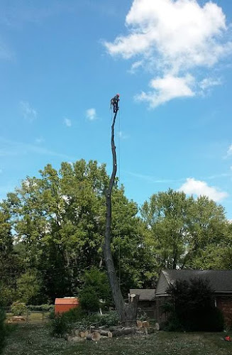 Affordable Arbor Care LLC