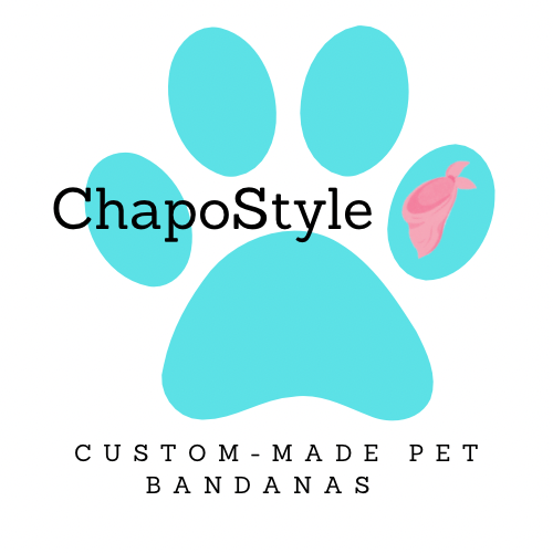 ChapoStyle - Visual