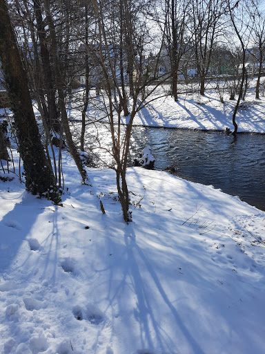 Wasen Park - Thumbnail