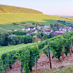 Photo n°35 de Gîte à COLIN CHABLIS à Chablis (Vignoble)