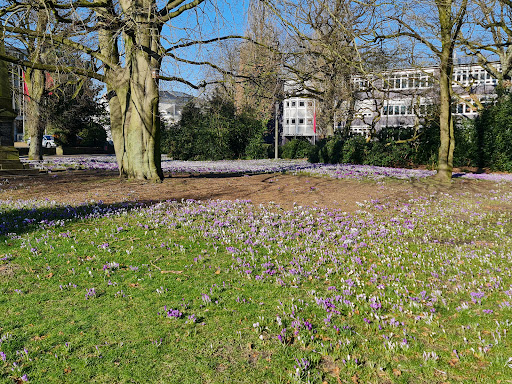 Probstenfeld - Visual