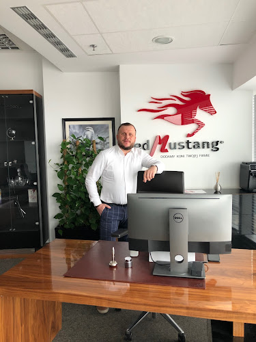 REDMUSTANG® - Strony internetowe, Social Media, Pozycjonowanie, Reklama w Google, Pozycjonowanie wizytówki Google - Projektant stron WWW