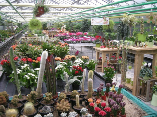 Blumen-Benkert Gallery - Germany