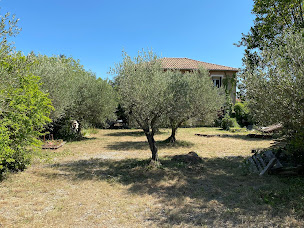 Photo n°15 de VERT PIC PAYSAGES à Aspères (Paysagiste)