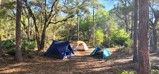 Tosohatchee Youth Camp Gallery - United States