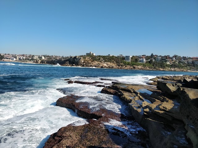 Shark Point park