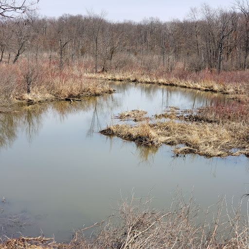 Deerfield Hills Nature Area - Thumbnail