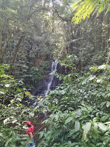 Cascada del Jabalí Gallery - Mexico