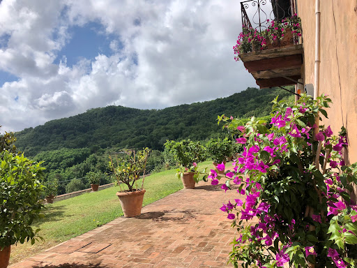 Casa Berti - Visual