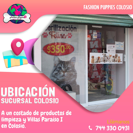 Veterinaria Fashion Puppies Sucursal Colosio