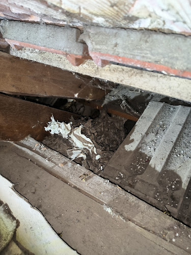 Decker presta'guêpes - Colmar