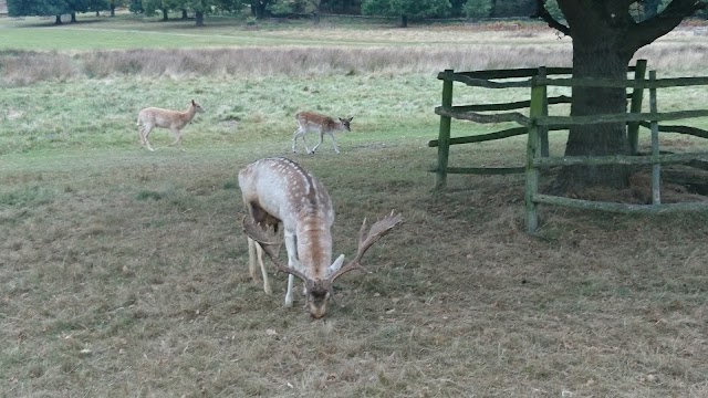 Bradgate Park Trust